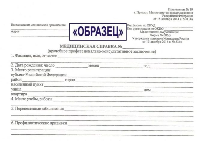 Медицинские справки для работы: виды, правила оформления и требования работодателей